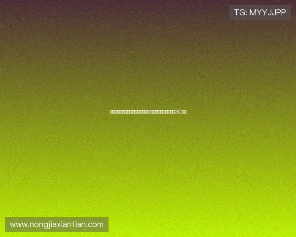 每体预测巴萨对阵皇家社会首发阵容 亚马尔复出拉什福德与3C亮相