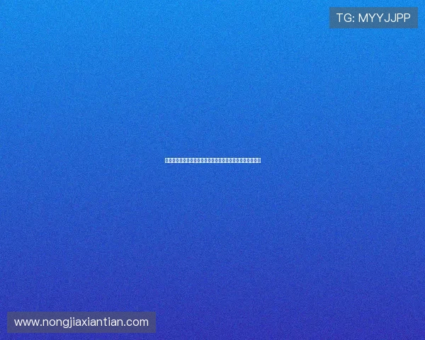 法老续约风波再起管理层一味迁就引争议球队未来走向成焦点