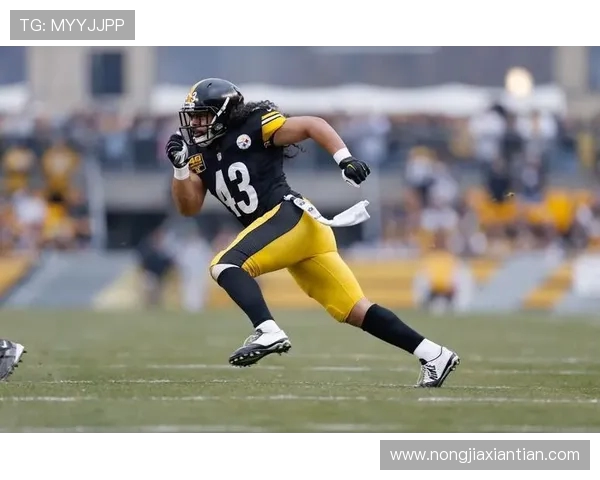 杨瀚森称赞夏普实力超群自信表示若有其弹跳必定能夺状元 杨瀚森称赞夏普实力超群自信表示若有其弹跳必定能夺状元