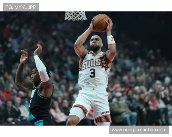 狄龙赞布克突破能力与防守智慧助力队友成长与发展 狄龙赞布克突破能力与防守智慧助力队友成长与发展